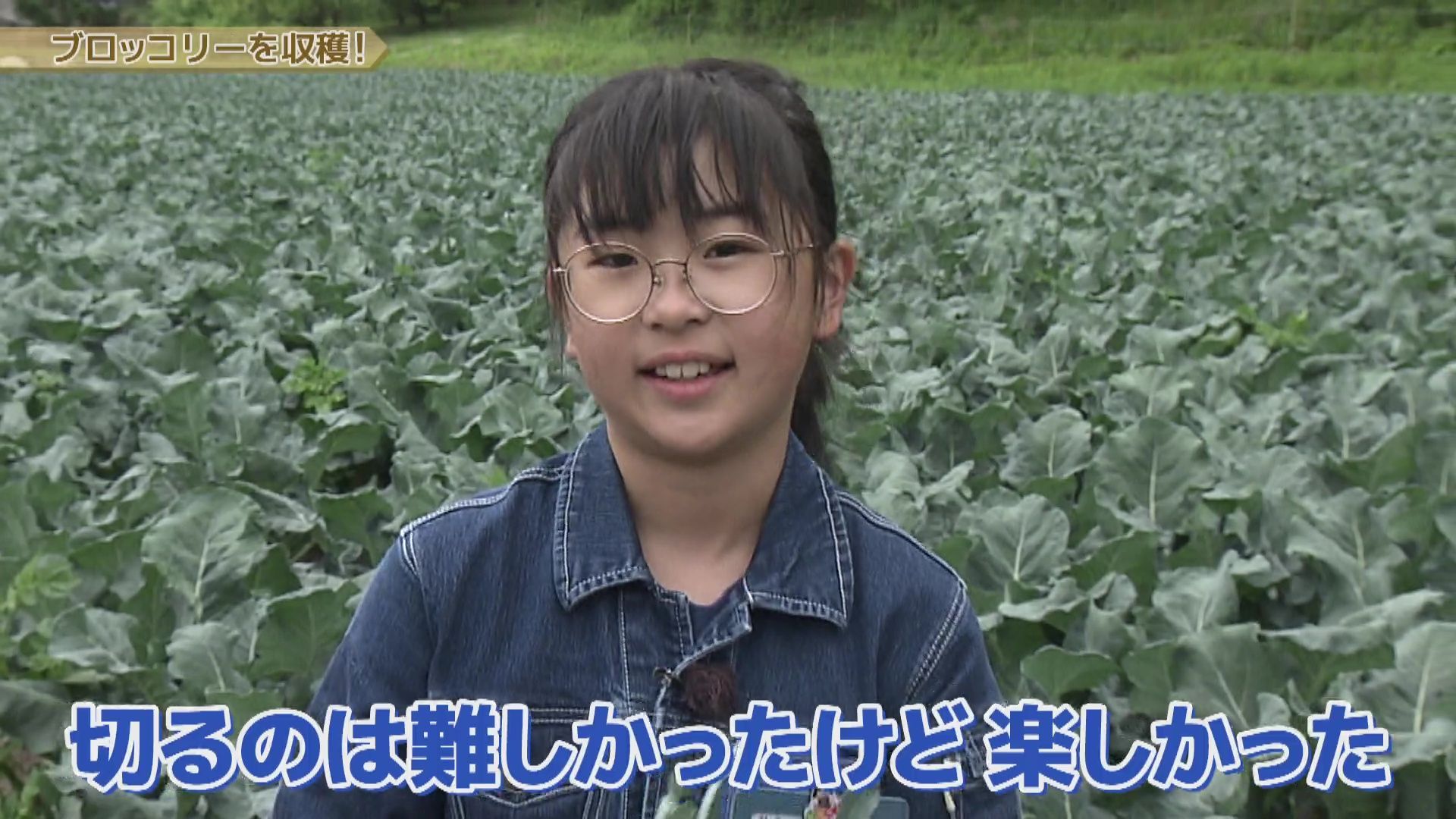 いっちゃんおいしいHBC｜HBC北海道放送