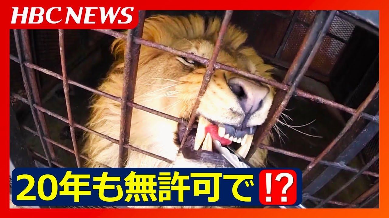 ノース サファリ サッポロ 違法