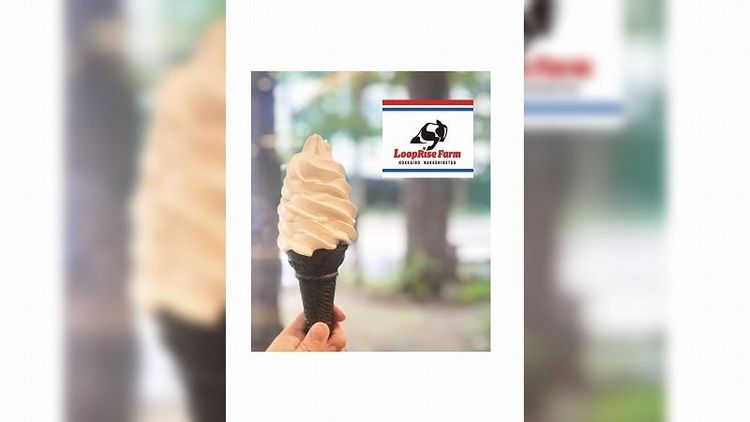 Museum Shop MARUYAMA【北海道ソフトクリームラリー2026】｜Sitakke