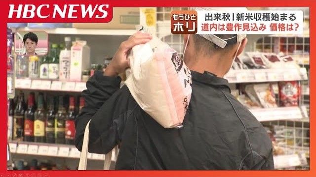 白米【まとめ買い割引】 楽天市場】米 白米 玄米 30kg 送料無料 ひとめぼれ 国内産 令和6
