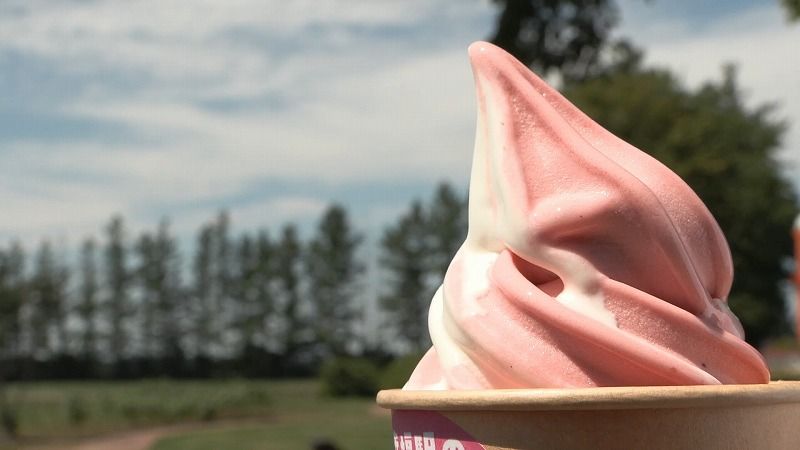 北海道のおいしさに今年もとろける！ソフトクリームを食べて「しあわせ