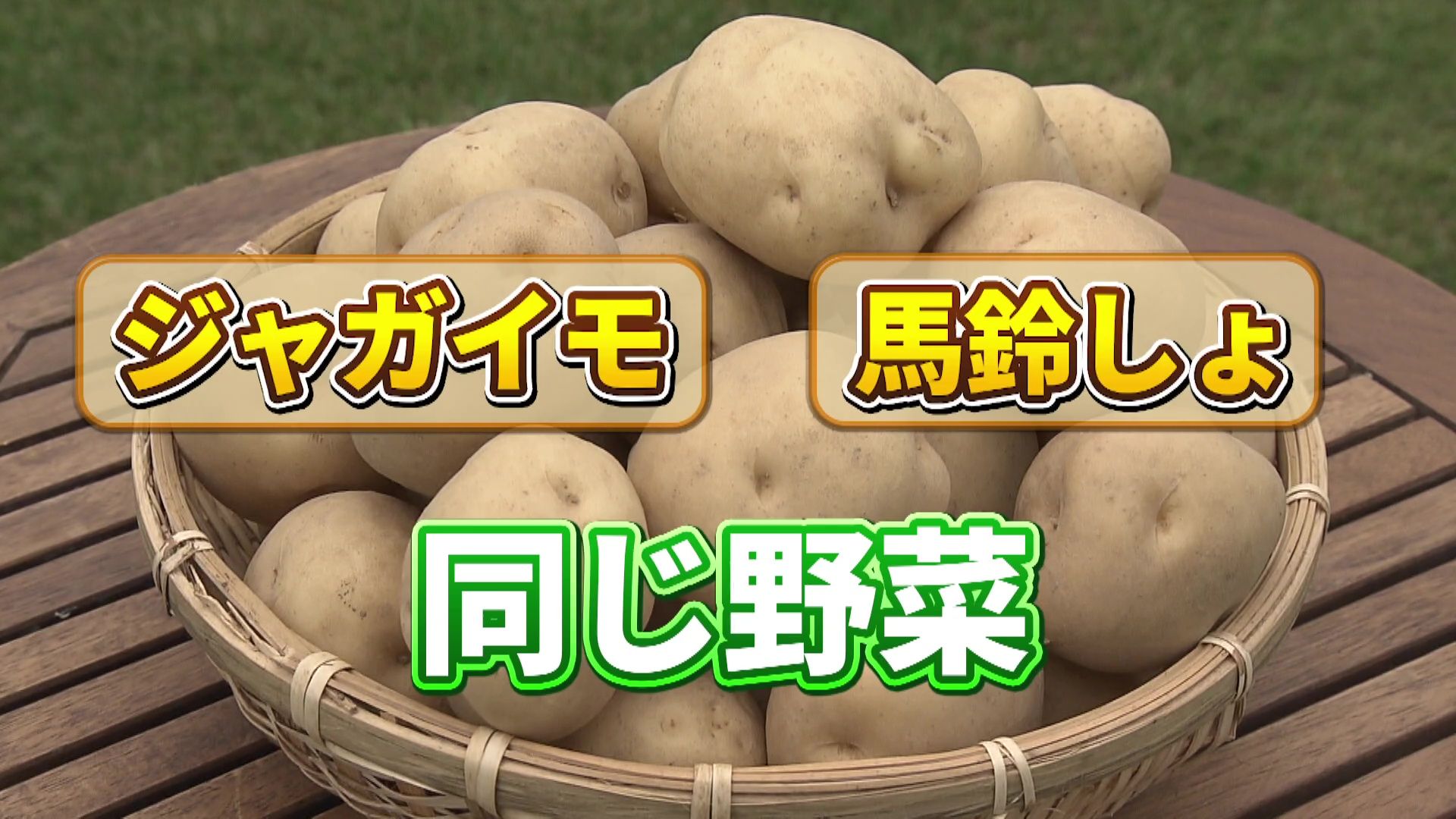 いっちゃんおいしいHBC｜HBC北海道放送