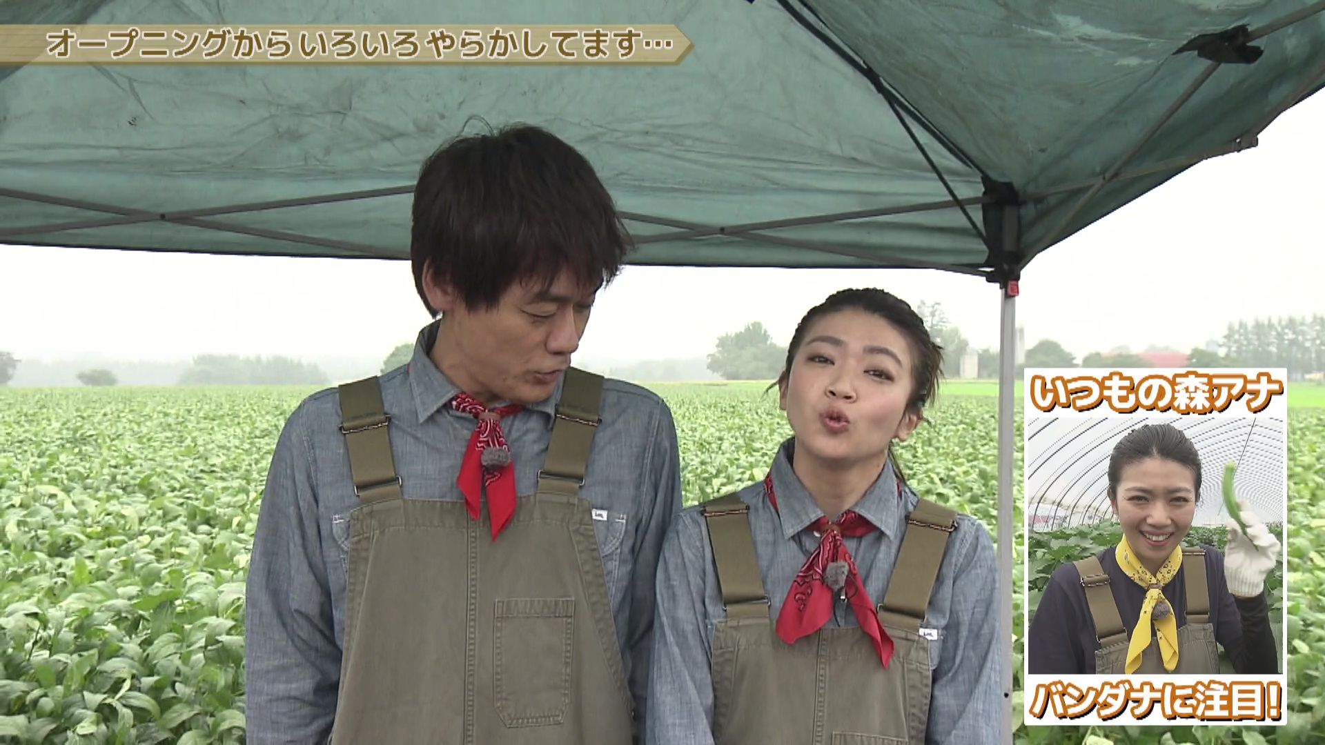 にんじん。さまおまとめ 2点 にんじん様メドレー - YouTube