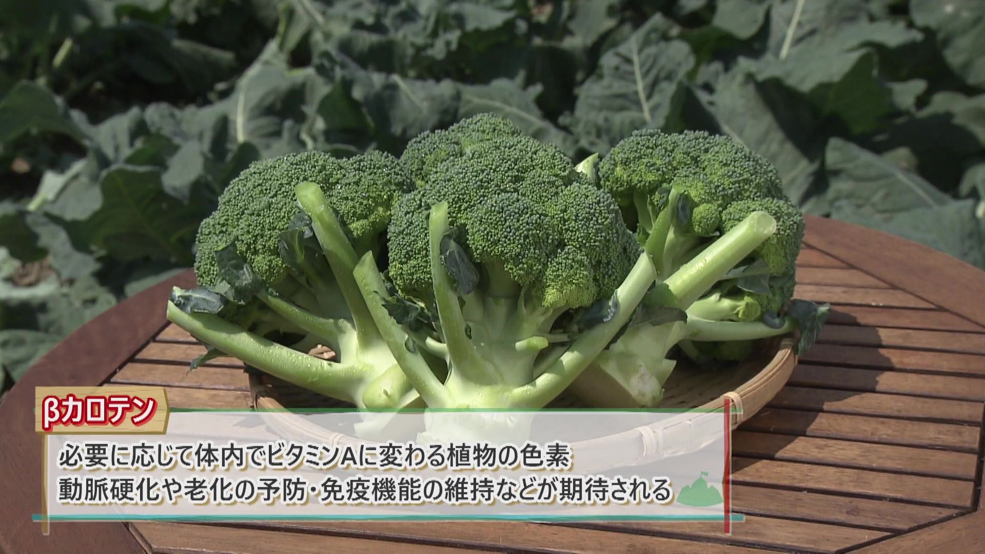 くりぼうページ♥ 悪の軍団。