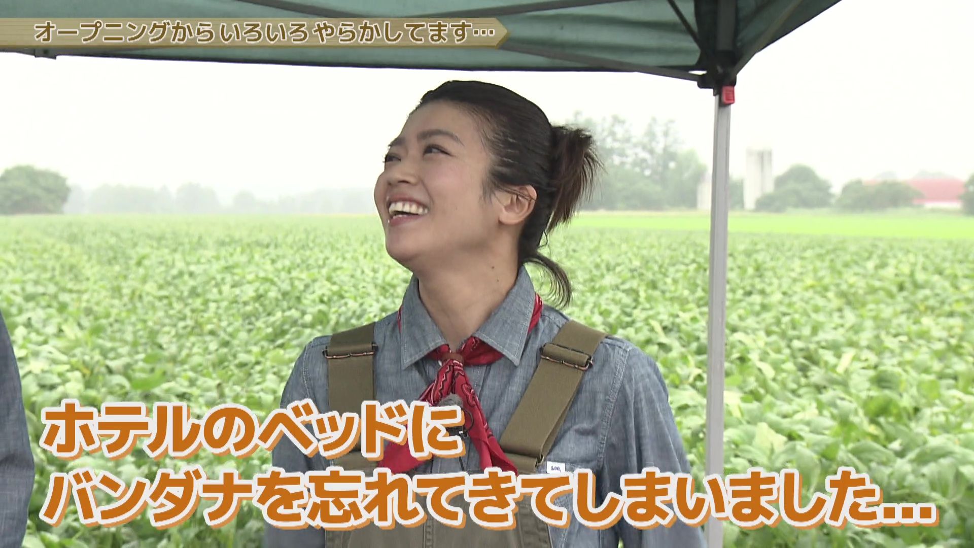 ♯808 新得町・ニンジン 編:あぐり王国北海道NEXT｜HBC北海道放送