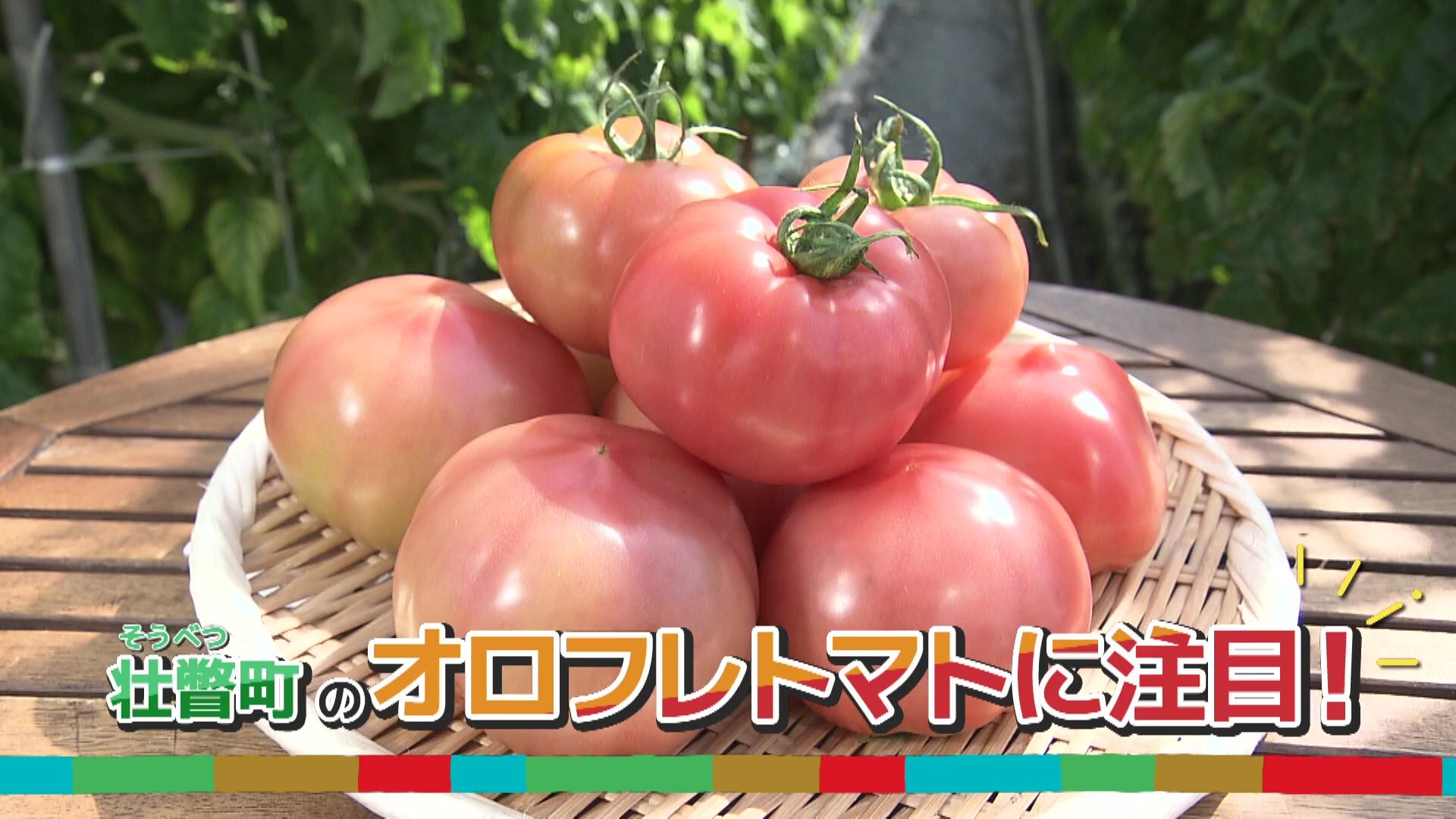 ♯746 壮瞥町・オロフレトマト 編 :あぐり王国北海道NEXT｜HBC北海道放送