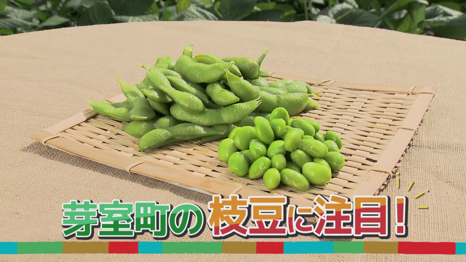 ♯807 芽室町・枝豆 編:あぐり王国北海道NEXT｜HBC北海道放送