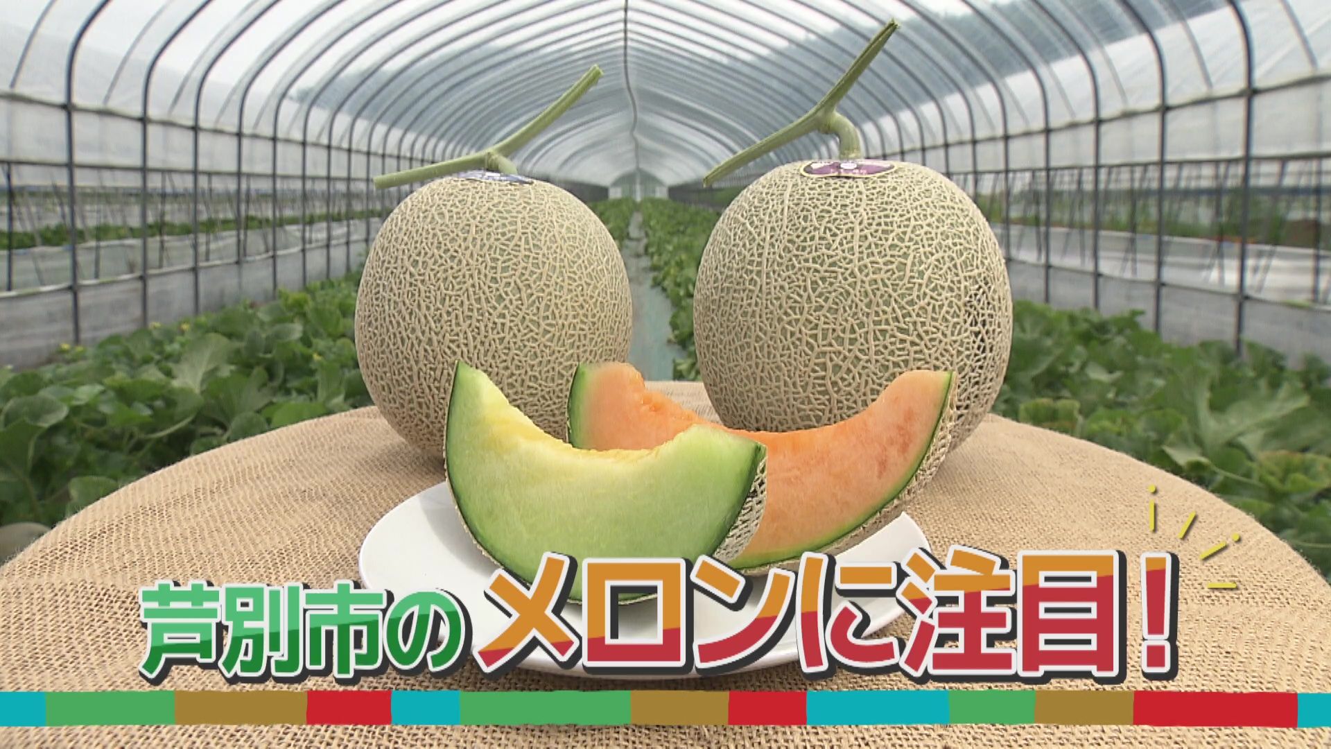 ♯802 芦別市・メロン編:あぐり王国北海道NEXT｜HBC北海道放送