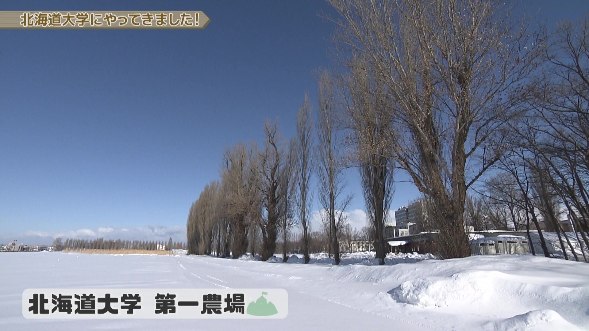 皆さんおはようございます、東野ひできです。 昨日は、北海道