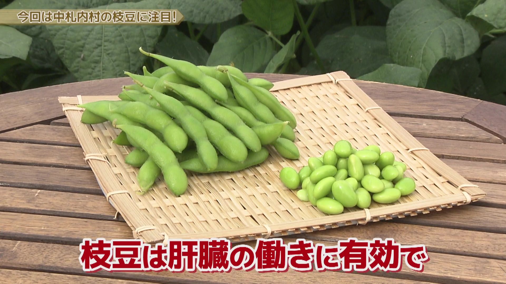 ♯725 中札内村・枝豆編 :あぐり王国北海道NEXT｜HBC北海道放送