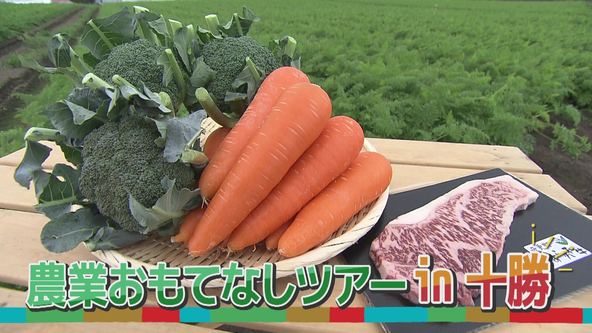 農業おもてなしツアーin十勝:あぐり王国北海道NEXT｜HBC北海道放送
