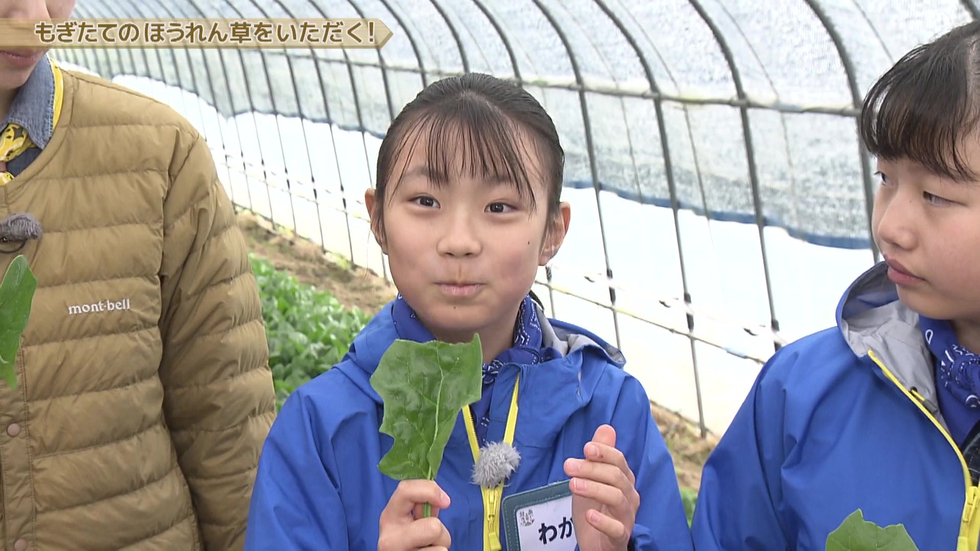 モリモリゆうか便り #81:あぐり王国北海道NEXT｜HBC北海道放送