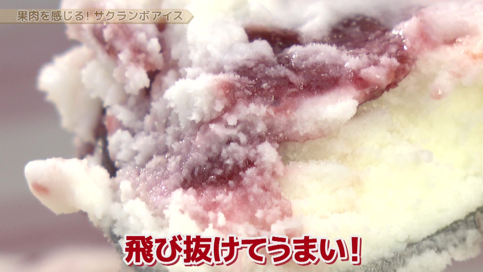 ♯757 増毛町・サクランボ 編 :あぐり王国北海道NEXT｜HBC北海道放送