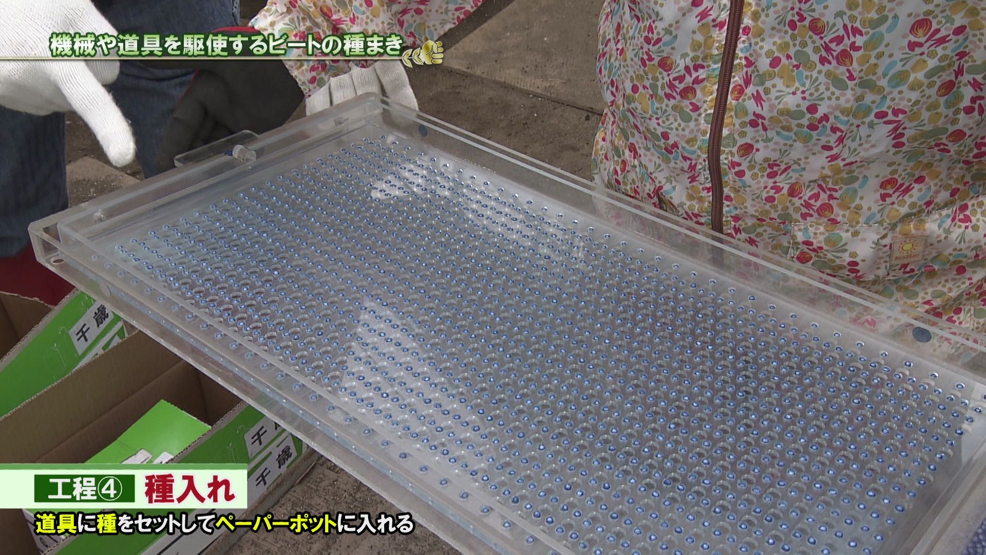 610 パラレルノーカー あぐり王国北海道next Hbc北海道放送