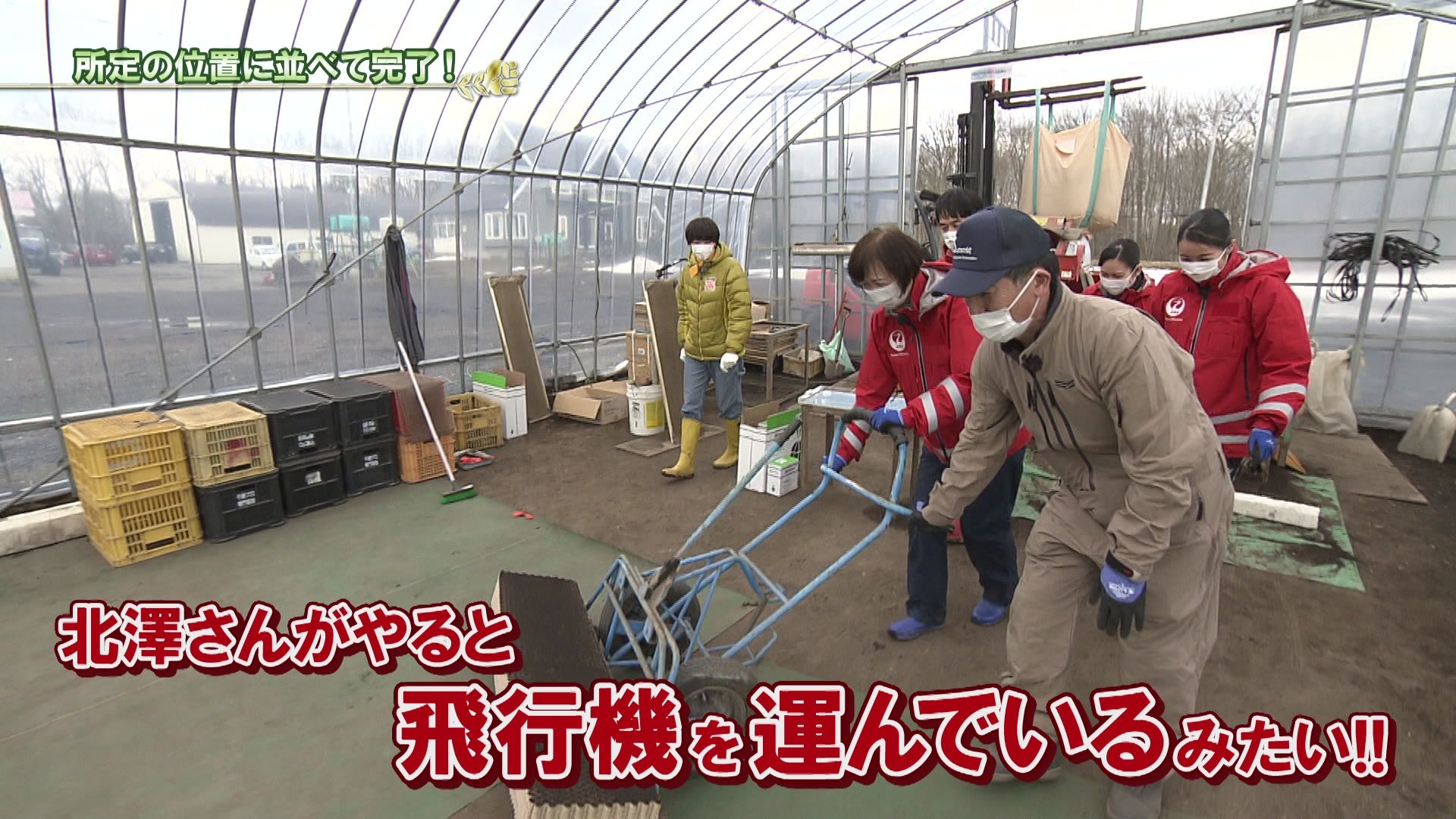 610 パラレルノーカー あぐり王国北海道next Hbc北海道放送