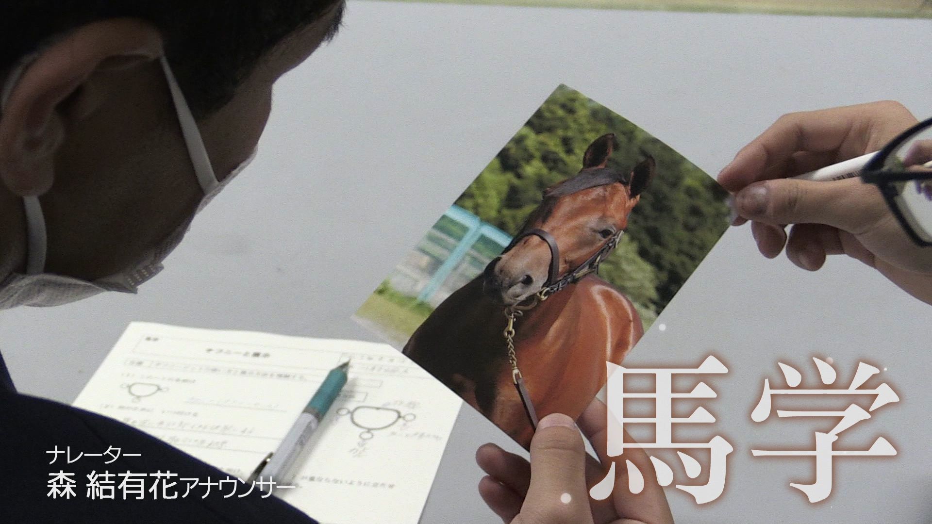 ♯616 ドキュメント 全国唯一競走馬を育てる静内農業高校:あぐり王国