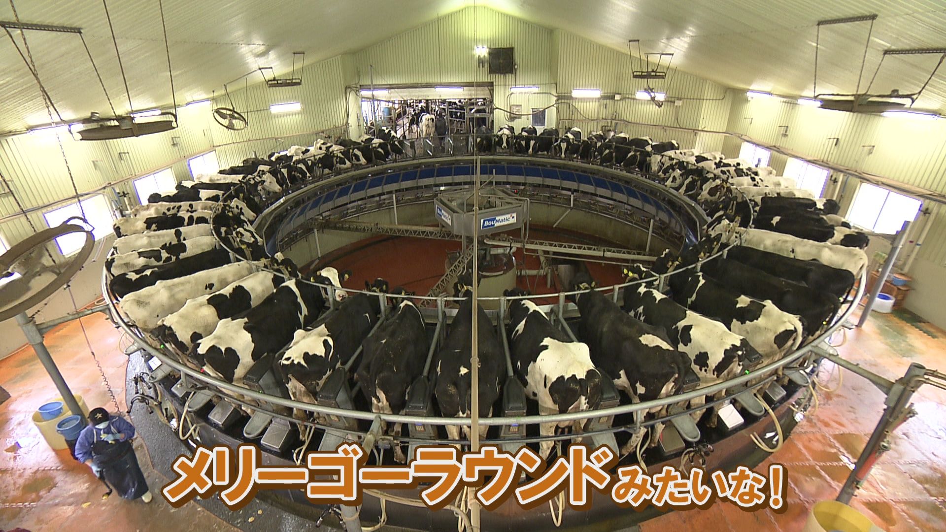 ♯638 上士幌町・循環型酪農編:あぐり王国北海道NEXT|HBC北海道放送 ♯638 上士幌町・循環型酪農編:あぐり王国北海道NEXT|HBC北海道放送