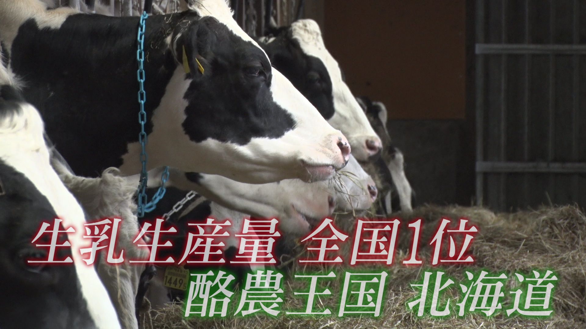 ♯653 ドキュメント「標津町・酪農家を支える人たち」編:あぐり王国