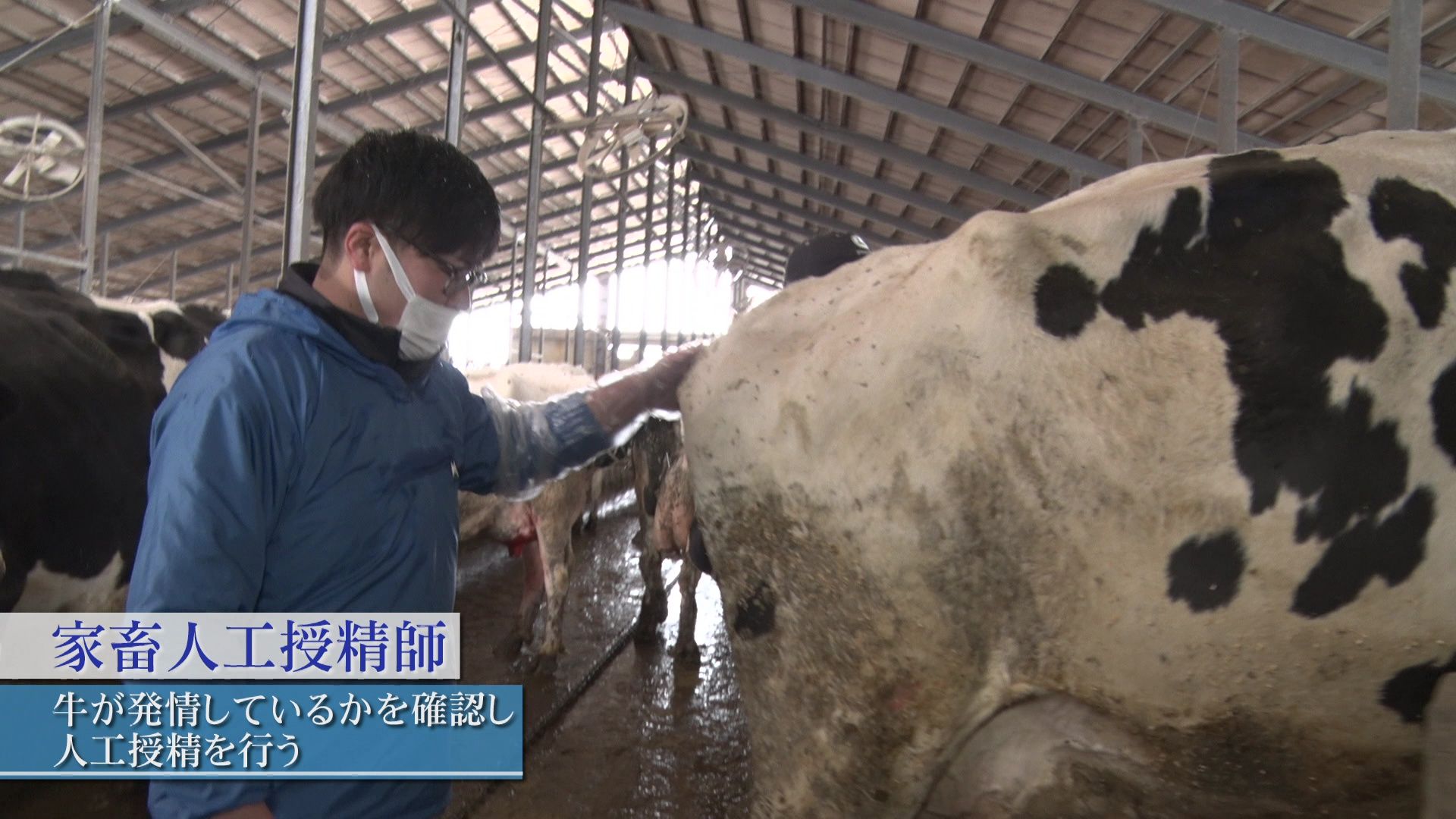 ♯653 ドキュメント「標津町・酪農家を支える人たち」編:あぐり王国