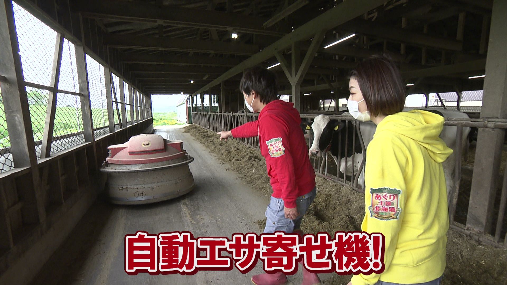 ♯662 妹背牛町・酪農編:あぐり王国北海道NEXT｜HBC北海道放送