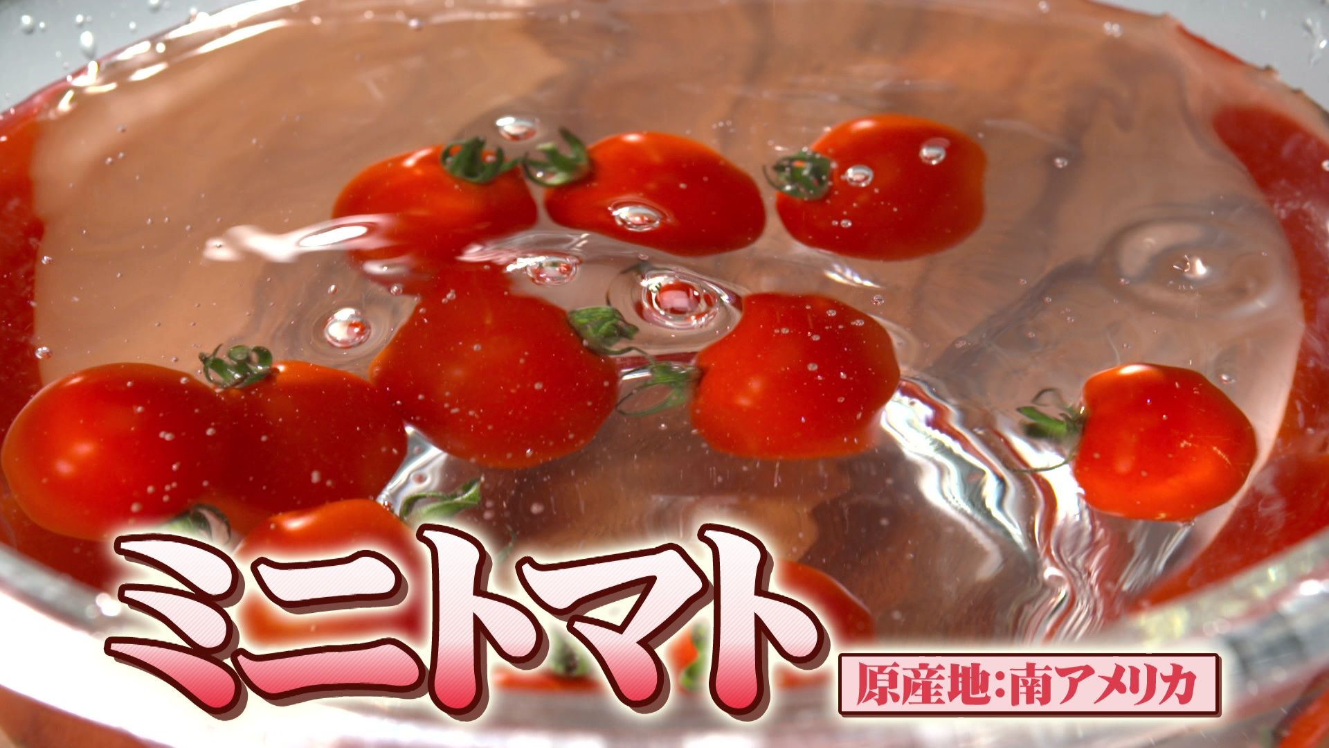 ♯668 当麻町・ミニトマト編:あぐり王国北海道NEXT｜HBC北海道放送