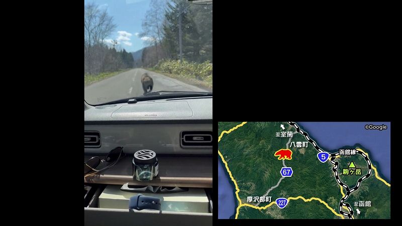 ぱぱくま4様確認用 JxK Studio 1/6 ヒグマの子ども 子熊 こぐま JXK134 A B フィギュア