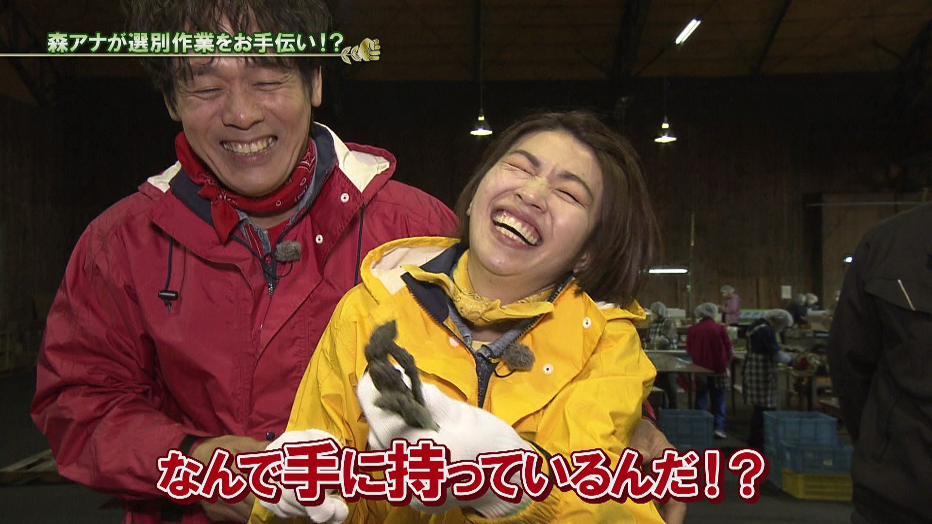 ♯707 十勝・清水 アスパラガス 編 :あぐり王国北海道NEXT｜HBC北海道放送