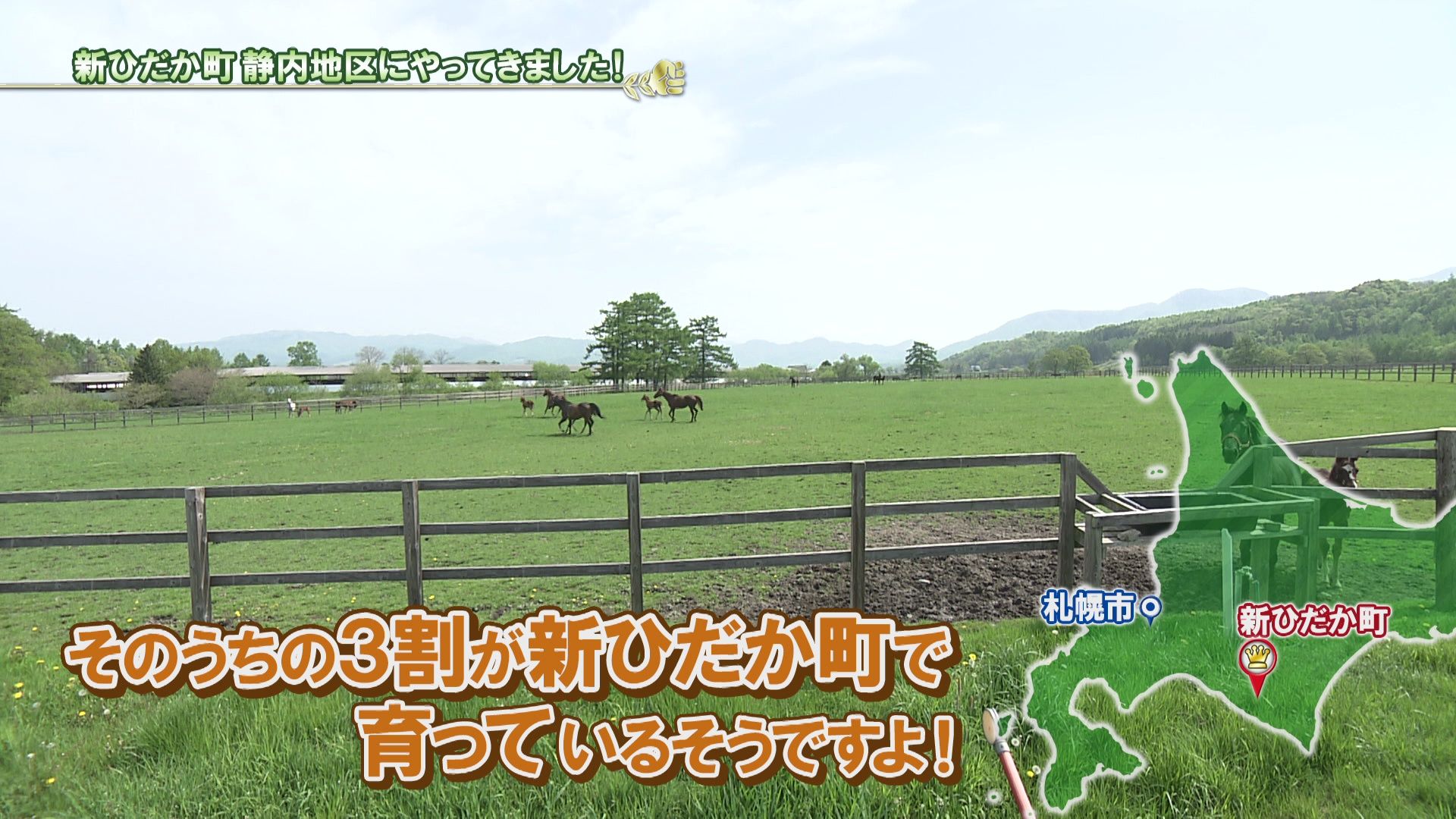 ♯710 米シリーズ新ひだか町静内 田植え編 :あぐり王国北海道NEXT｜HBC