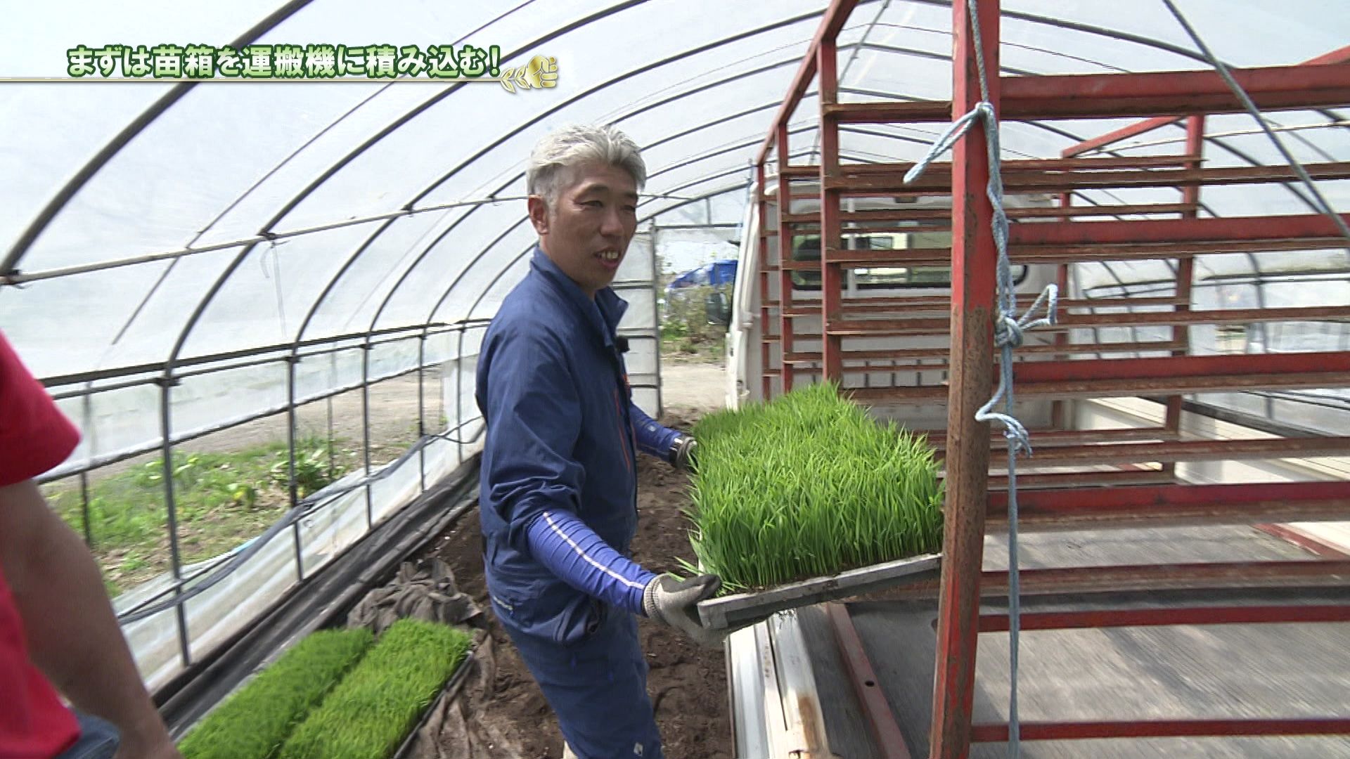 ♯710 米シリーズ新ひだか町静内 田植え編 :あぐり王国北海道NEXT｜HBC