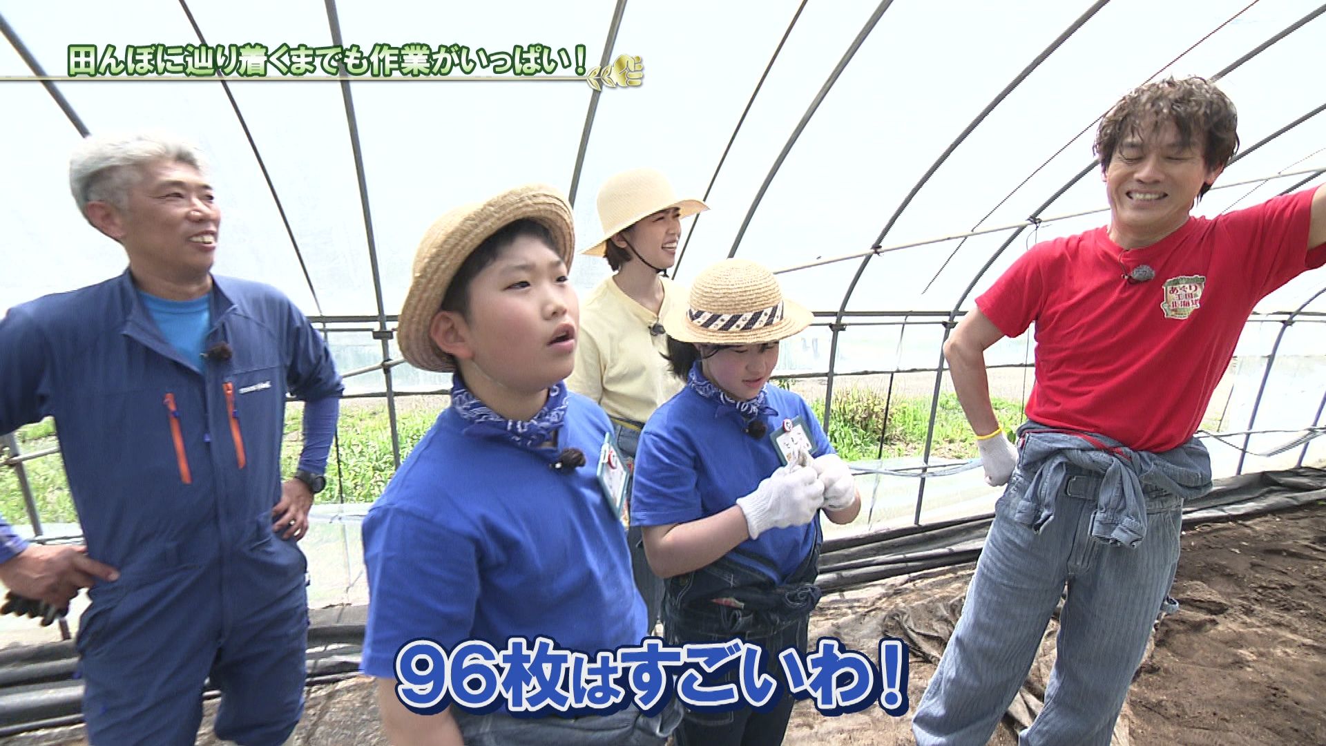 ♯710 米シリーズ新ひだか町静内 田植え編 :あぐり王国北海道NEXT｜HBC