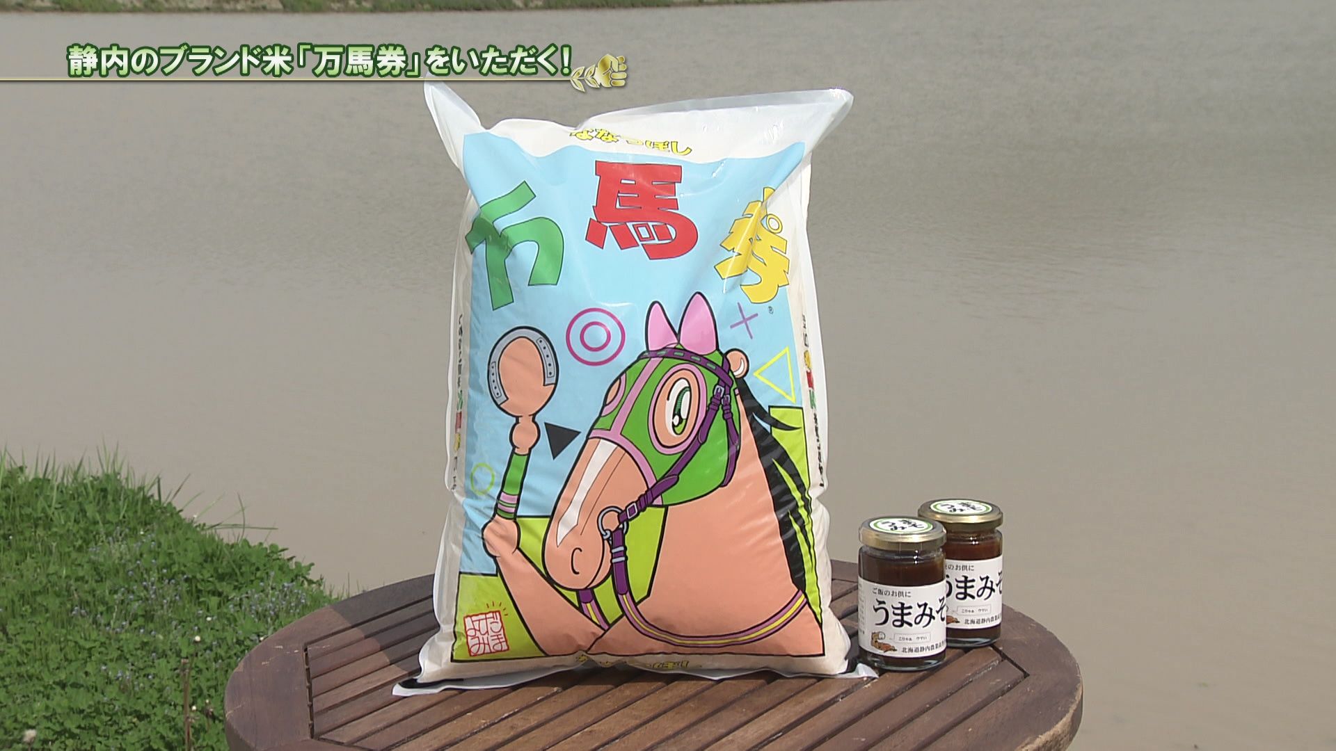 ♯710 米シリーズ新ひだか町静内 田植え編 :あぐり王国北海道NEXT｜HBC