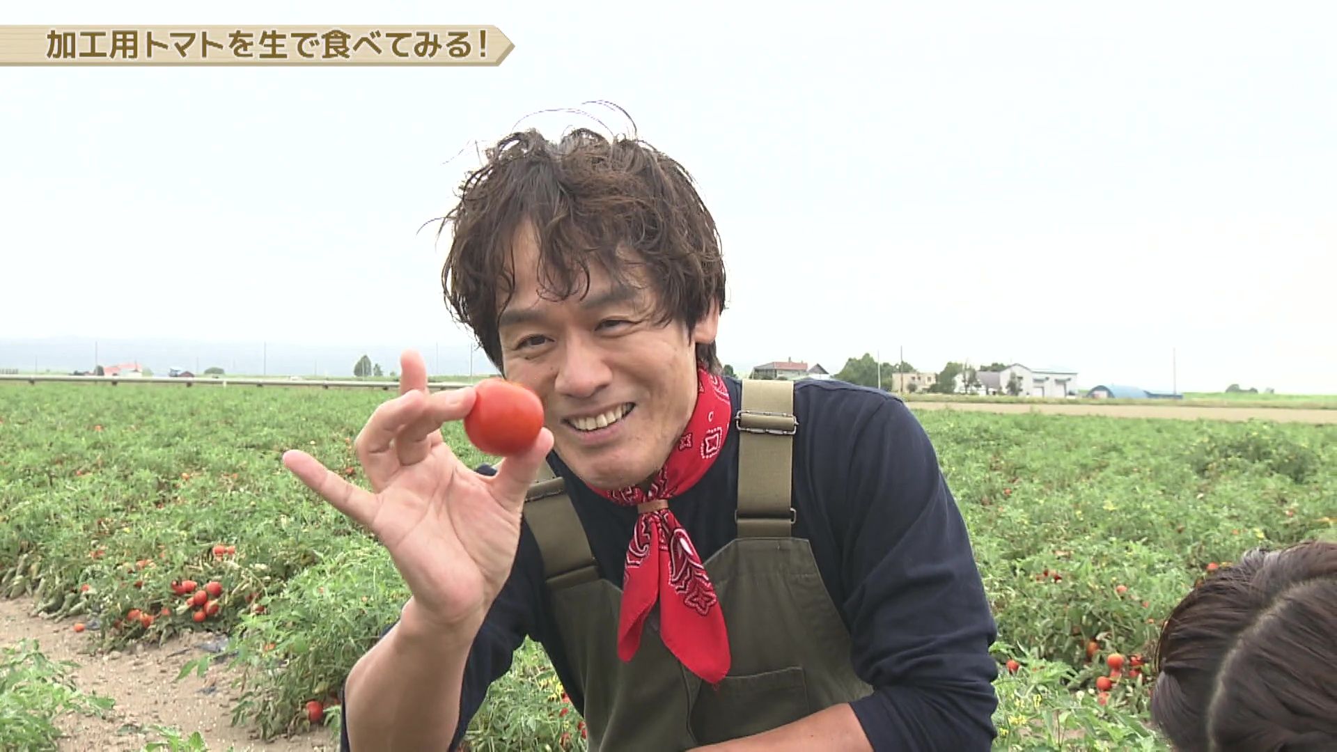 ♯723 岩見沢市・加工用トマト 編 :あぐり王国北海道NEXT｜HBC北海道放送
