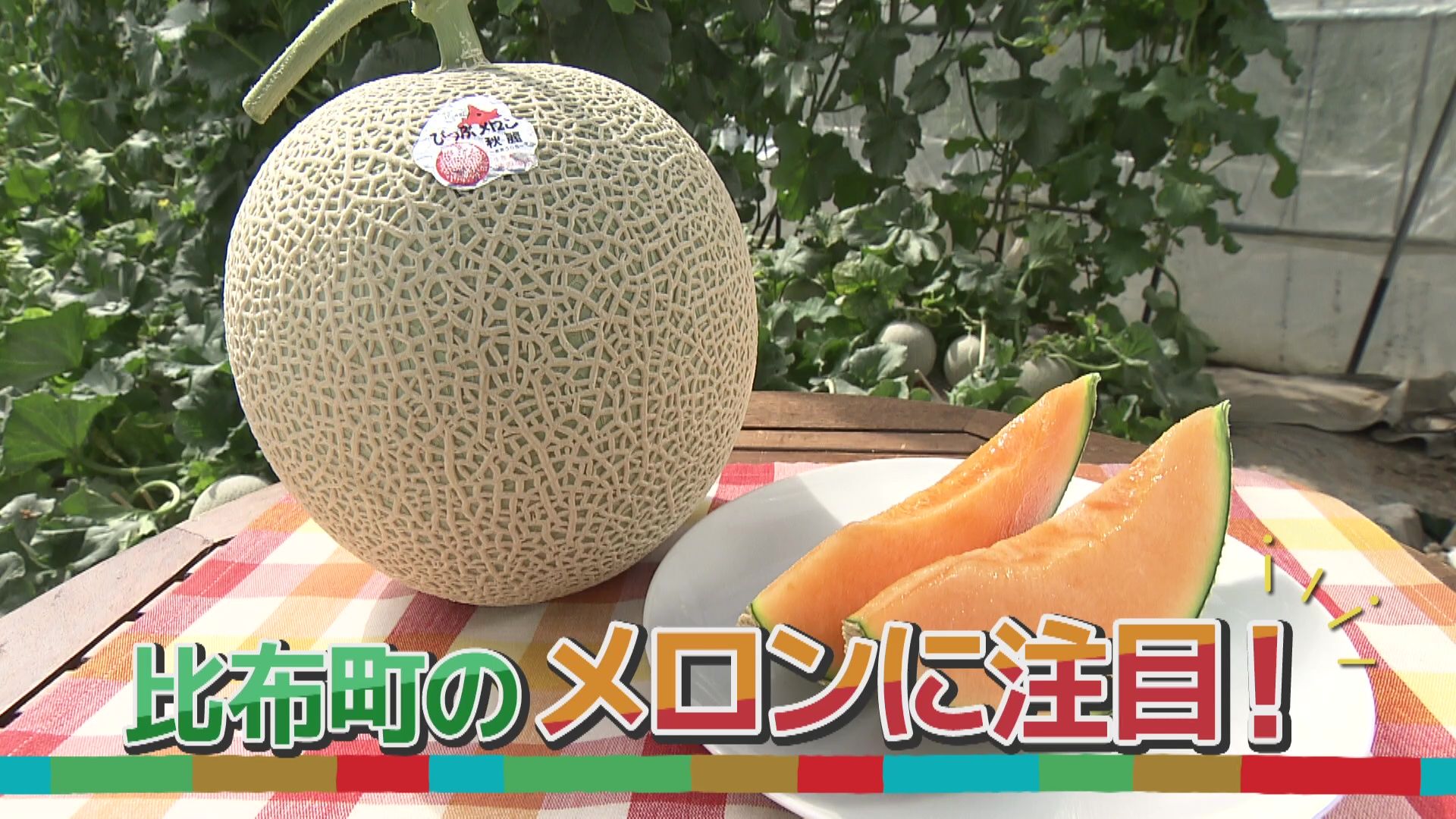 ♯762 比布町・メロン 編 :あぐり王国北海道NEXT｜HBC北海道放送