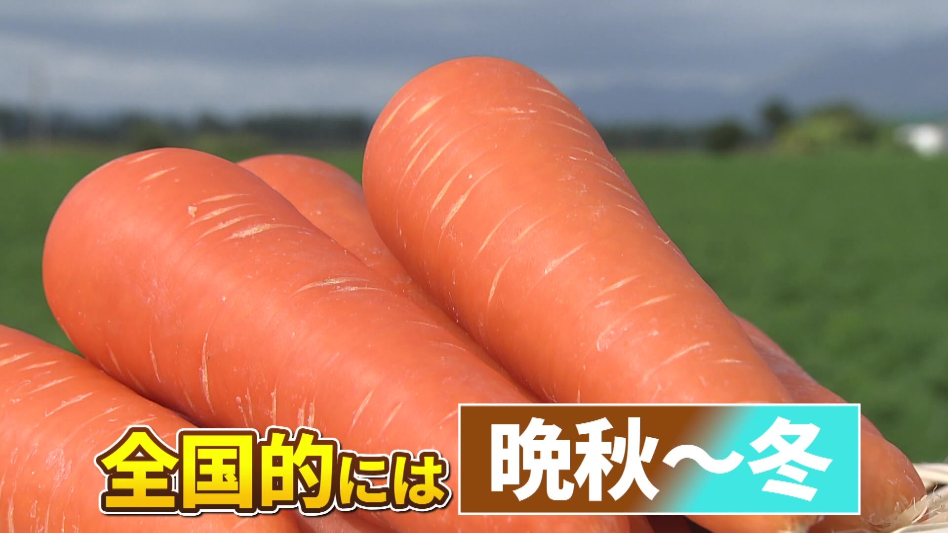 いっちゃんおいしいHBC｜HBC北海道放送