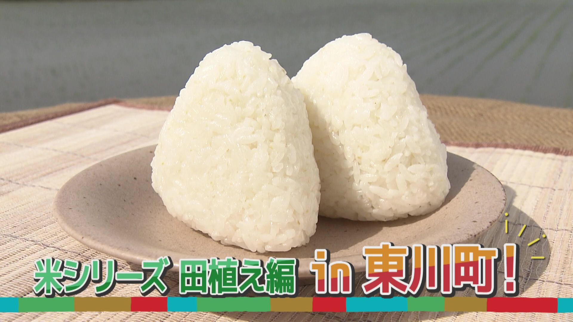 田植え定規　昭和レトロ　石川県白山市引取り　北陸三県別途送料で配送可 ♯840 東川町・米シリーズ：田植え 編 :あぐり王国北海道NEXT｜HBC