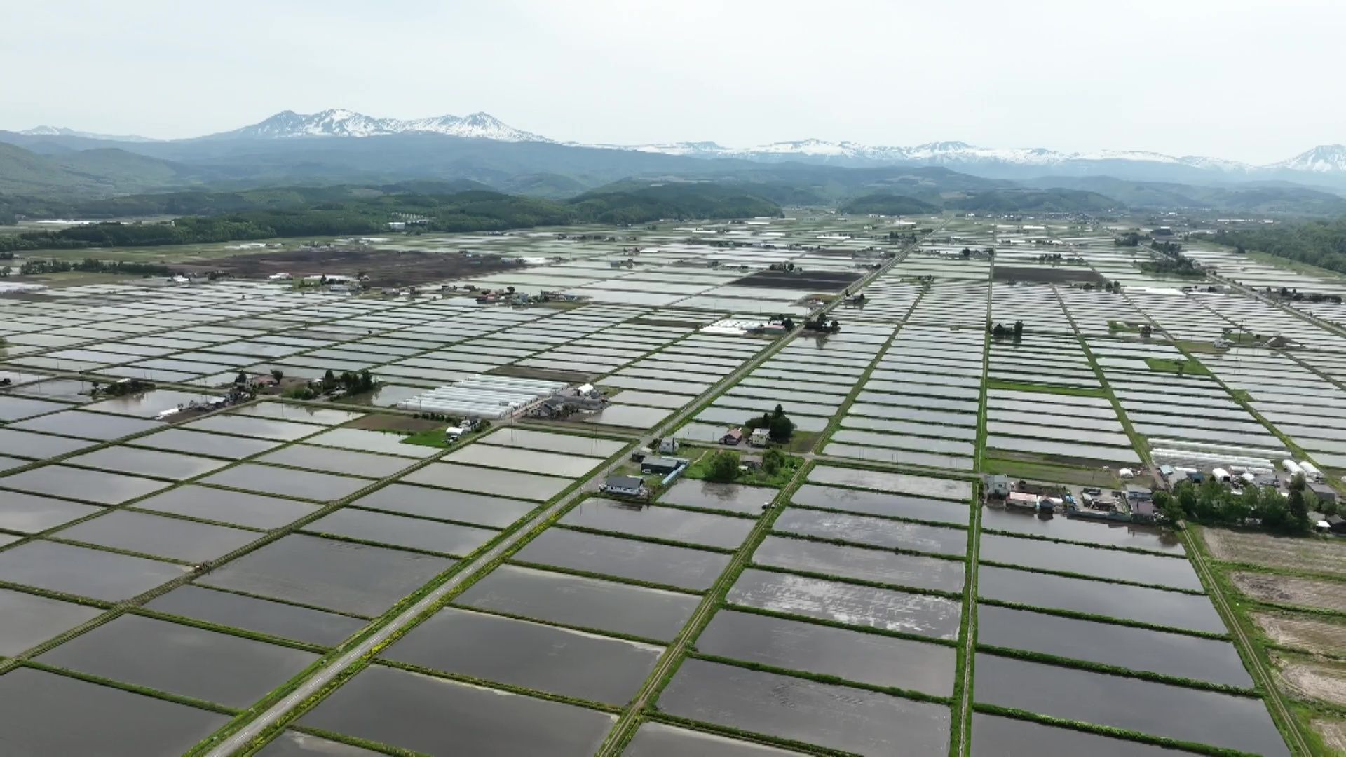 ♯840 東川町・米シリーズ：田植え 編 :あぐり王国北海道NEXT｜HBC