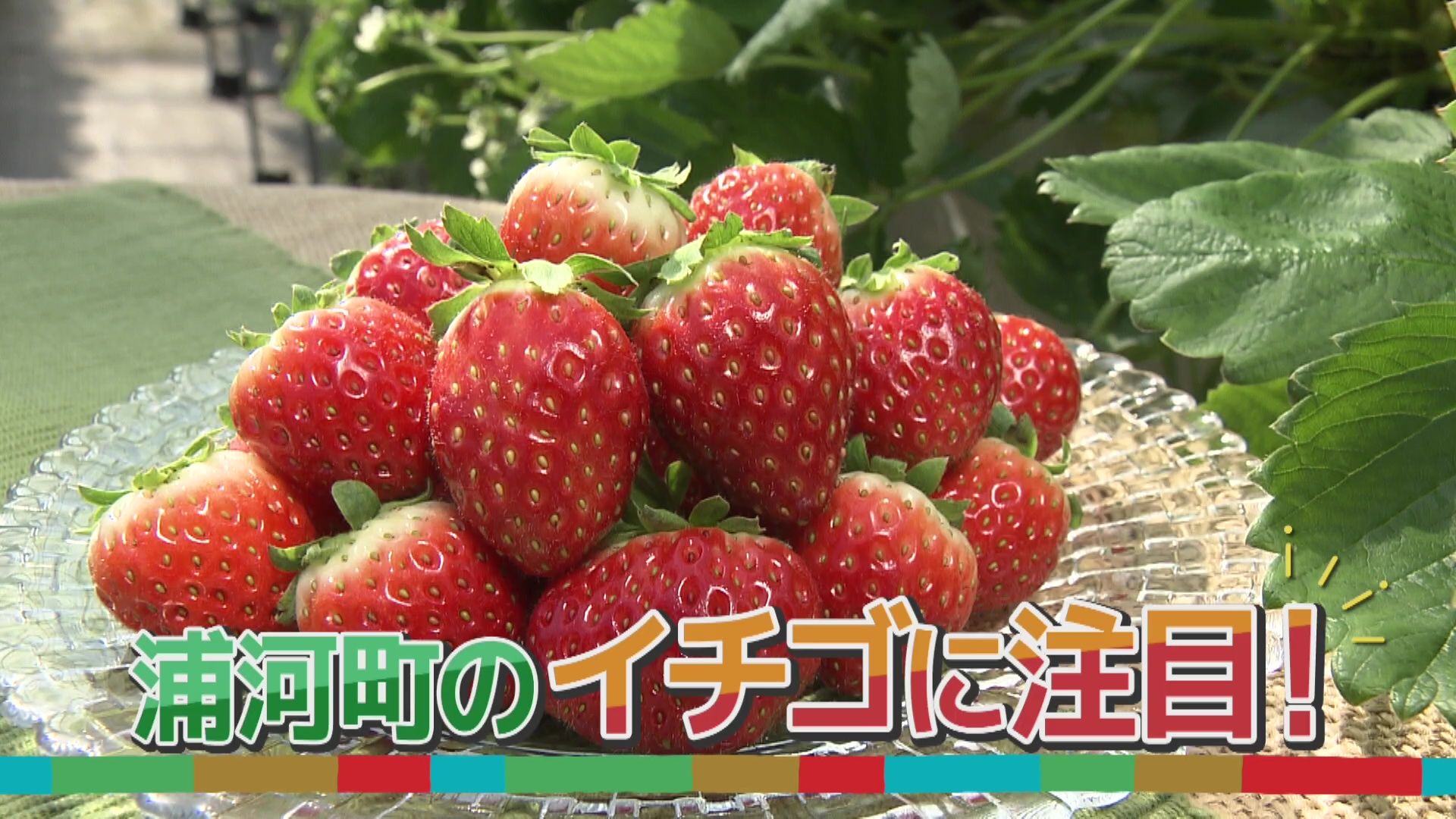 いっちゃんおいしいHBC｜HBC北海道放送